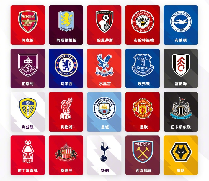 她们的表现 她们的表现