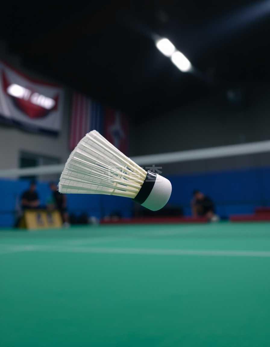 不仅承载了 不仅承载了